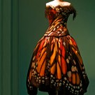 For Madame Butterfly.